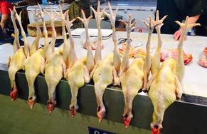 网友热议盐城家禽市场 市售鸡鸭为何大多无脚环？