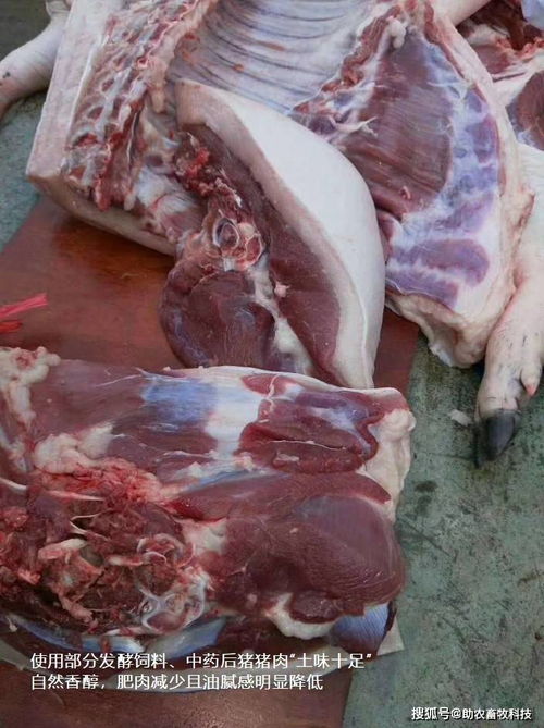 各种农副产品与食品下脚料是降低养殖饲料成本的有效途径,可以这样操作