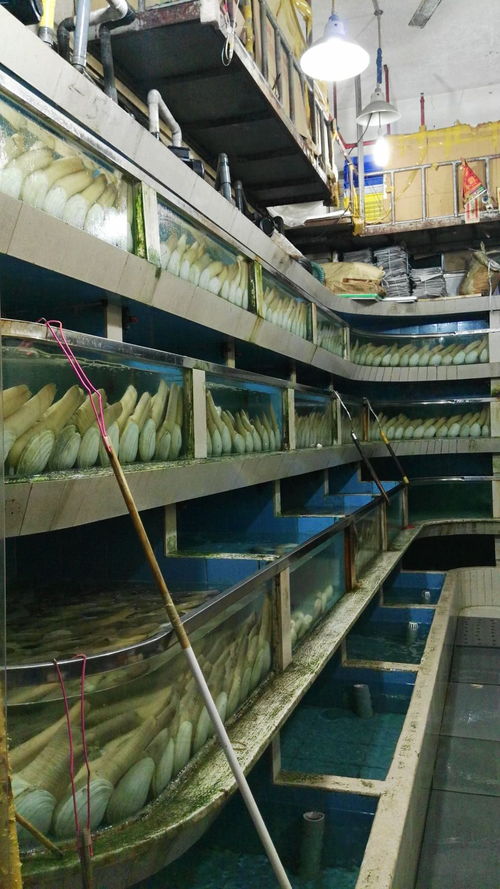 南海开渔，海鲜市场迎来热潮